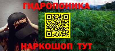 прущие крисы Партизанск