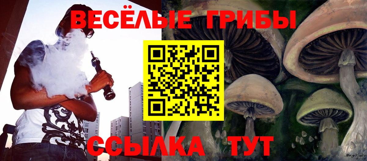 Галлюциногенные грибы Psilocybe  Вход с VPN  Севастополь 